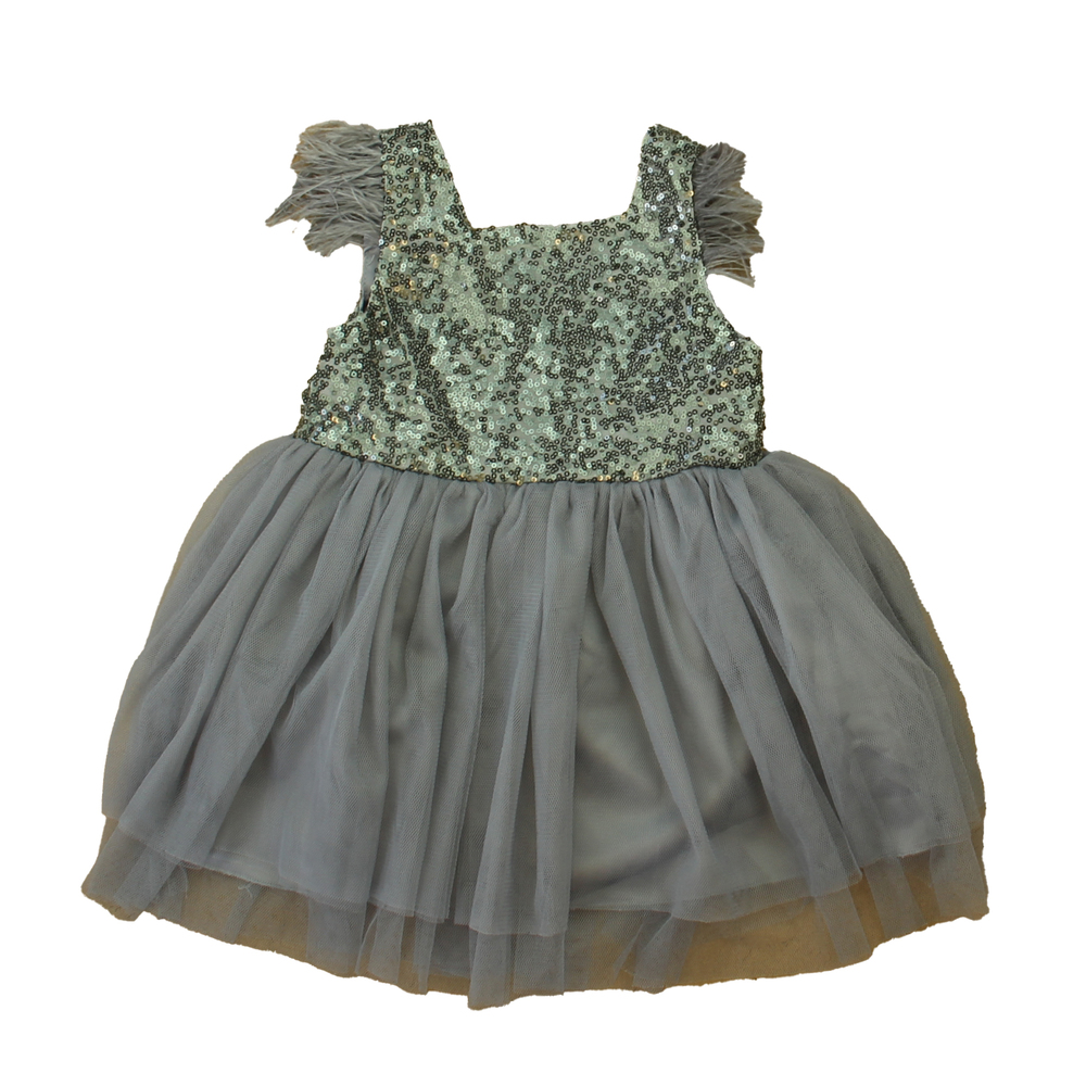 Unknown Brand Girls Silver Dress size: 12-18 Months